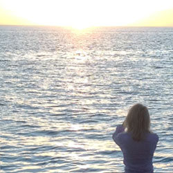 dining room of the reel janie sport fisher