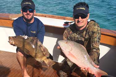 More Pictures Coming Soon